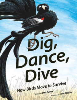 Cover of Dig Dance Dive.